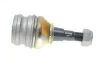 Опора кульова (передня/знизу) Subaru Forester 97-/Impreza 92-/Outback 00- FAG 825 0249 10 (фото 6)