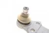 Опора кульова (передня) Ford Fiesta III -95 FAG 825 0295 10 (фото 5)