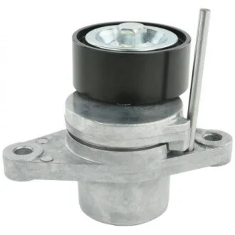 Натяжитель ремня генератора FEBEST 0290-G15RA