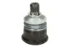 Опора кульова (передня/знизу) MB E-class (W124) 86-96 FEBI BILSTEIN 02380 (фото 1)