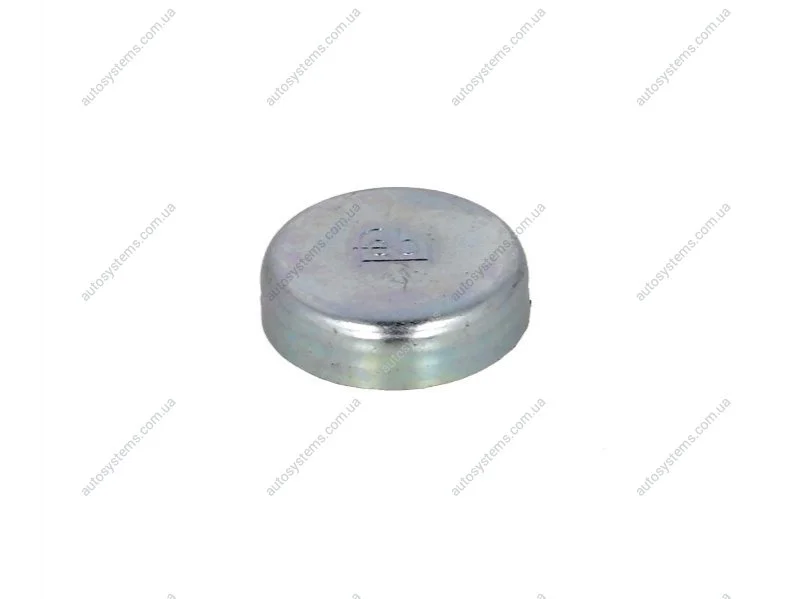 Заглушка FEBI BILSTEIN 02543 (фото 1)