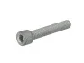 Болт ШРКШ (внутрішнього) Audi/VW (M8x46/57) 03004