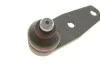 Опора кульова (передня/знизу) Renault Kangoo 98- FEBI BILSTEIN 06952 (фото 4)