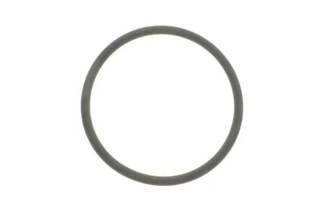 Уплотнительное кольцо FEBI BILSTEIN 100165