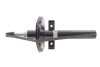 Амортизатор (передній) Renault Scenic 03- FEBI BILSTEIN 1002569 (фото 5)