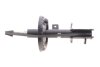 Амортизатор (передній) Citroen Jumpy/Fiat Scudo/Peugeot Expert 07- (R) FEBI BILSTEIN 1002697 (фото 5)