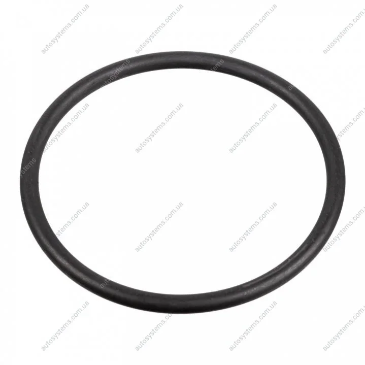 Прокладка насосу паливного Audi/VW/Ford/MB/Opel/Renault (31x2mm) FEBI BILSTEIN 172666 (фото 1)