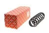 Пружина (задня) VW Passat B6 2.0BlueTDI 09-10 / B7 2.0TDI/4motion 10-14 (седан/унів)(ос:Bluemotion) FEBI BILSTEIN 174184 (фото 1)