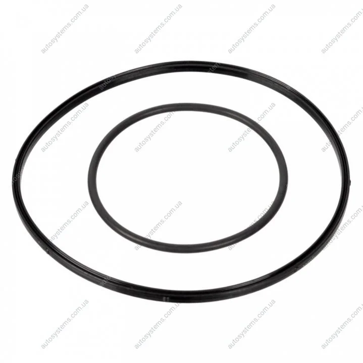 Прокладка насосу вакуумного BMW 3 (E46/E90)/5 (E60) 1.8/2.0 01-11 FEBI BILSTEIN 174463 (фото 1)
