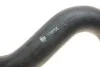 Патрубок інтеркулера (R) Ford Focus II 1.8 TDCi 05-12 FEBI BILSTEIN 175705 (фото 2)