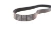 Поликлиновой ремень FEBI BILSTEIN 188682 (фото 4)