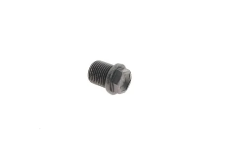 Пробка піддона картера зливна Ford Focus/Mondeo 2.5 ST/RS 06-14 FEBI BILSTEIN 22148