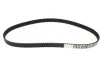 Комплект ГРМ VW Caddy 1.6E/2.0E/VW T5 2.0E FEBI BILSTEIN 23634 (фото 4)
