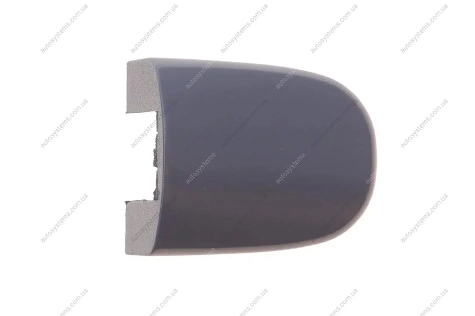 Ковпачок ручки дверей Skoda Roomster 06-15/ VW Polo/ Passat/ Golf 96- FEBI BILSTEIN 23920 (фото 1)