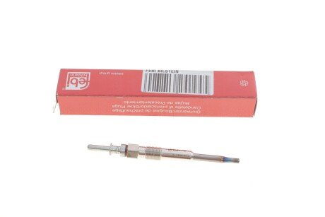 Свічка розжарювання BMW 3 (E46/E90)/5 (E60)/X5 (E70) 2.0/2.5/3.0D 01- (5V) FEBI BILSTEIN 24094