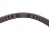 Ремінь генератора Audi A4/ A6/ VW Passat 1.9 TDI 95-01 (5PK1590) FEBI BILSTEIN 28882 (фото 3)
