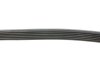 Ремінь генератора Audi A3 1.6/2.0FSI 03-13/Citroen Berlingo 1.9D 96-11/Caddy 1.6-2.0 95-15 (6PK1045) FEBI BILSTEIN 28915 (фото 2)