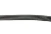 Ремінь генератора Audi A3 1.6/2.0FSI 03-13/Citroen Berlingo 1.9D 96-11/Caddy 1.6-2.0 95-15 (6PK1045) FEBI BILSTEIN 28915 (фото 2)