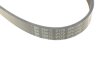 Ремінь генератора Audi A3 1.6/2.0FSI 03-13/Citroen Berlingo 1.9D 96-11/Caddy 1.6-2.0 95-15 (6PK1045) FEBI BILSTEIN 28915 (фото 3)