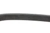 Ремінь генератора VW LT 2.5TDI 00- (-AC)/T4 2.4D/2.5TDI 96- FEBI BILSTEIN 28970 (фото 2)