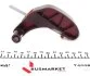 Комплект ланцюга насосу масляного Skoda Fabia II/VW Polo 1.2 06- FEBI BILSTEIN 33935 (фото 4)
