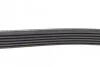 Ремінь генератора VW T5 1.9TDI/VW Caddy III 1.9/2.0TDI (+AC) FEBI BILSTEIN 34459 (фото 3)