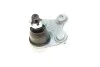 Опора кульова (передня/знизу/L) Honda CR-V 2.0/2.4/2.2D 06-12 FEBI BILSTEIN 42134 (фото 3)