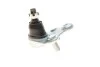 Опора кульова (передня/знизу/L) Honda CR-V 2.0/2.4/2.2D 06-12 FEBI BILSTEIN 42134 (фото 5)