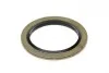 Болт зливу оливи + шайба Fiat Doblo 10-/Ducato 06-/ Opel Astra 04-15 (M18x1.5) Fischer Automotive One (FA1) 866.371.011 (фото 2)