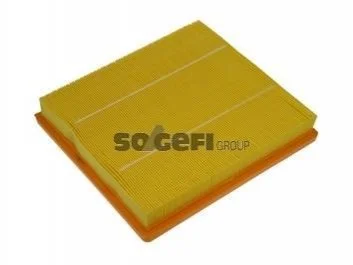 Фільтр повітряний двигуна FRAM CA10685 (фото 1)