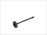 Впускний клапан (29,5x6x100,9) AUDI A1, A2, A3 SEAT ALHAMBRA, ALTEA, ALTEA XL, AROSA, CORDOBA, CORDOBA VARIO, IBIZA II, IBIZA III, IBIZA IV, IBIZA IV SC, IBIZA IV ST, INCA, LEON 1.2-1.6 09.96-05.22 FRECCIA 6013/S (фото 1)