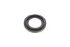 Ремкомплект супорта (переднього) Nissan Navara/NP300 01- (d=46mm)(+2 поршні) (Niss) FRENKIT 246910 (фото 4)
