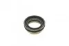 Ремкомплект супорта (переднього) MB M-class (W166) 11-16 (d=48mm)(Ate)(+2 поршня/направляюча) Super FRENKIT 748305 (фото 2)