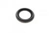 Ремкомплект супорта (переднього) Mazda 323/626 91-02 (d=57mm)(Shin)(+1поршень/направляюча) SuperKit FRENKIT 757493 (фото 7)