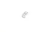 Комплект пружинок колодок ручника Citroen C2/C3/C4/Peugeot 208/301 02- (203x38) (Bosch) FRENKIT 950835 (фото 7)