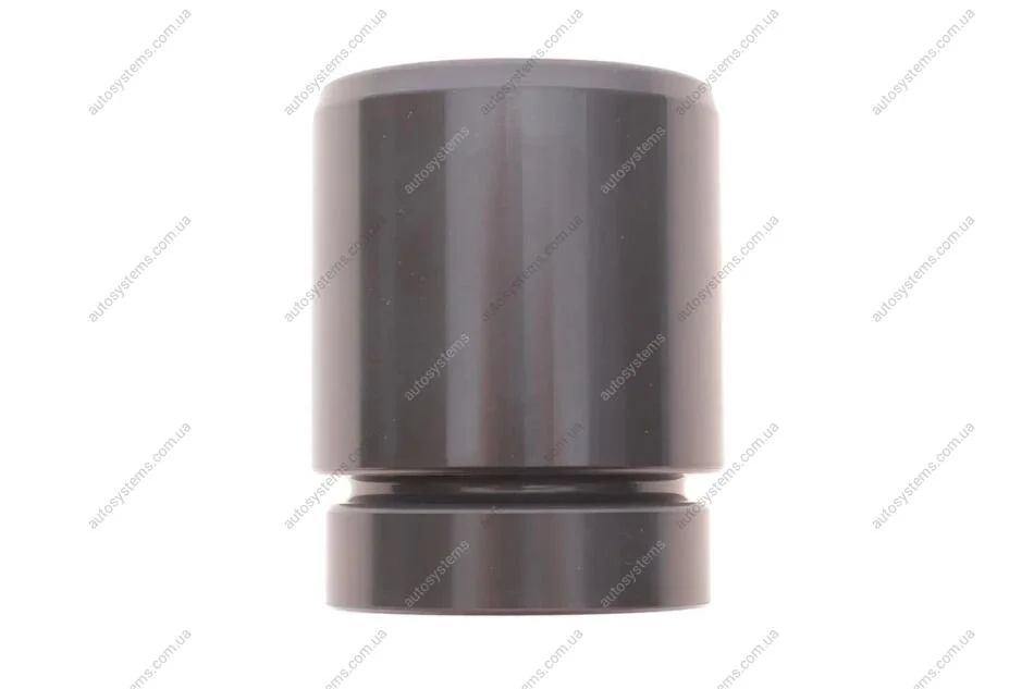 Поршень супорта (заднього) BMW 5 (E39/E61) 97- (42x52.25mm) (Ate) FRENKIT P425202 (фото 1)