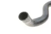 Патрубок радіатора (верхній) Ford Focus I 1.8 16V/2.0 16V 98-04 Gates 05-1911 (фото 7)