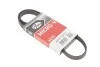 Ремінь генератора Mazda 323 1.3-1.8 89-04/ Mitsubishi Pajero II 3.5 94-99 Gates 4PK1003 (фото 1)