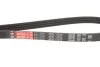 Ремінь генератора Mazda 323 1.3-1.8 89-04/ Mitsubishi Pajero II 3.5 94-99 Gates 4PK1003 (фото 2)