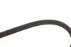 Ремінь генератора Mazda 323 1.3-1.8 89-04/ Mitsubishi Pajero II 3.5 94-99 Gates 4PK1003 (фото 3)
