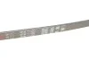 Ремінь генератора Fiat Croma/Lancia Thema/Toyota Hiace IV 2.0/2.7 82-05 Gates 4PK1100 (фото 5)