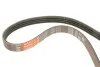 Ремінь генератора Hyundai i10/Fiat Doblo/Punto/Stilo 1.2/1.4 01- Gates 4PK675 (фото 5)