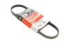 Ремінь генератора Ford Focus III 2.0 11- Gates 4PK705SF (фото 1)