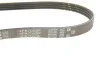 Ремінь генератора Ford Focus III 2.0 11- Gates 4PK705SF (фото 6)