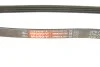 Ремінь генератора Ford Focus III 2.0 11- Gates 4PK705SF (фото 7)