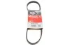 Ремінь генератора Fiat Ducato 1.9D/TD 94-02 Gates 4PK755