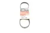 Ремінь генератора BMW 1 (E87)/3 (E90/E91) 2.0D 04-11 Gates 4PK810SF