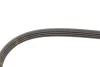 Ремінь генератора Nissan Almera/Primera/Sunny 1.0-5.0 82- Gates 4PK813 (фото 5)