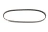 Ремінь генератора Nissan Almera/Primera/Sunny 1.0-5.0 82- Gates 4PK813 (фото 6)