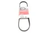 Ремінь генератора Nissan Primera/Micra/Note/Toyota Corolla 1.0-2.5D 83- Gates 4PK823 (фото 1)